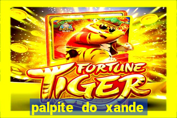 palpite do xande para hoje