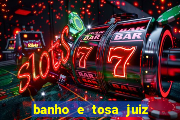 banho e tosa juiz de fora