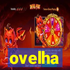 ovelha